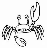 Crab Coloring Pages Sea Color Angry Animals Life Animal Online Printable Cartoon Funny Kids Thecolor Hermit sketch template