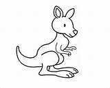 Kangaroo Drawing Joey Template Printable Sketch Templates Outline Simple Pencil Colouring Animal Clipartmag sketch template