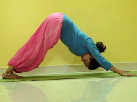 surya yoga asanas  benefits styles  life
