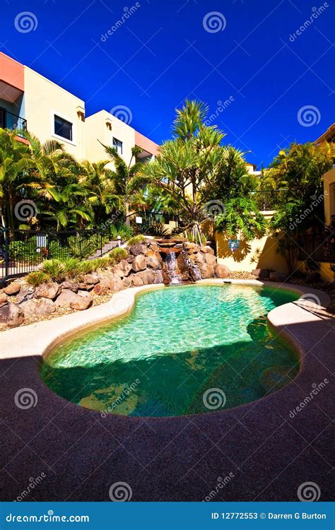 lush resort pool stock image image  swim swimming