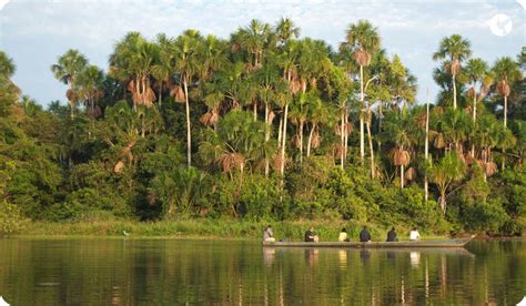 machu picchu  empire amazon rainforest neotropic peru travel