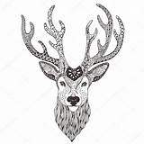 Head Stag Mehendi Deer Tattoo Template Illustration Stock Coloring Templates Preview sketch template