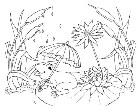frog  rain weather kids coloring pages