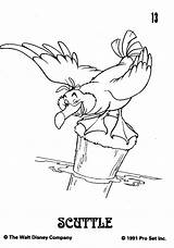 Seagull Coloring Pages Getcolorings Pag Cards Getdrawings sketch template