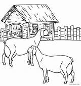 Coloring Pages Animal Farm Printable Cool2bkids Kids Goats sketch template