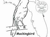 Mockingbird Coloring Getcolorings Getdrawings sketch template