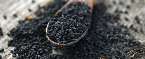 how different are cumin and black cumin benefits of fennel black