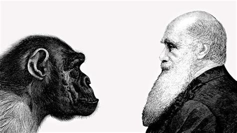 Científicos Demuestran Finalmente Una De Las Teorías De La Evolución De