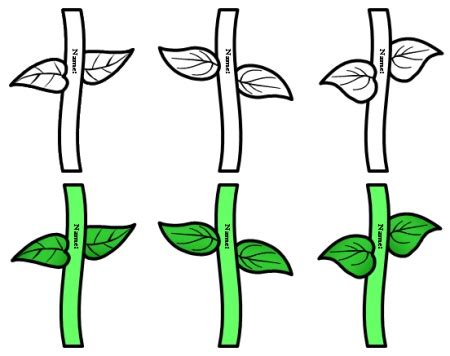 printable flower stem templates clipart