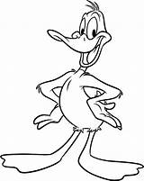Duck Daffy Coloring Looney Pages Colouring Drawing Clipart Toons Cartoon Tunes Characters Drawings Color Sheet Duckling Print Hunting Kids Cartoons sketch template