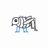 Flea Draw Drawing Short Hairs Legs Eye Four Its Front Other Add Back sketch template