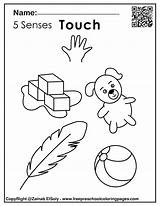 Senses Preschool Freepreschoolcoloringpages sketch template