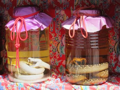 brave    okinawan wine   venomous snakes