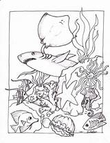 Underwater Pages Coloring Seaweed Scene Drawing Getdrawings sketch template