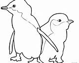 Penguin Coloring Adelie Getcolorings Club sketch template