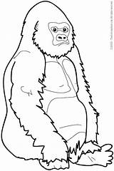Coloring Gorilla Mountain Pages Getcolorings Printable sketch template