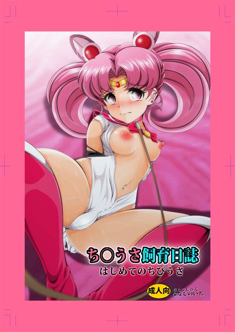 Post 2559346 Chibi Usa Sailor Moon