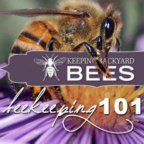 beekeeping  beginners backyard bee bee keeping beekeeping  beginners