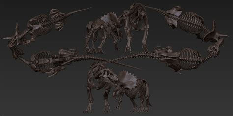 Vitamin Imagination Tyrannosaurus Vs Triceratops Skeleton