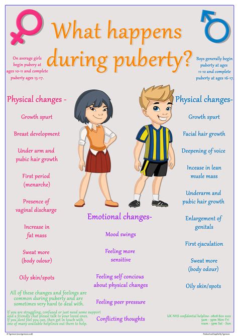 What Happens During Puberty Poster A2 – Tiger Moon