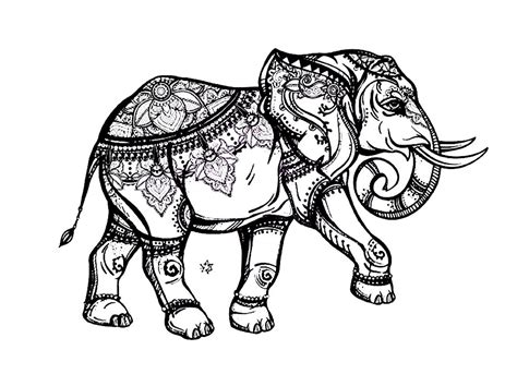 elegant elephant elephants adult coloring pages