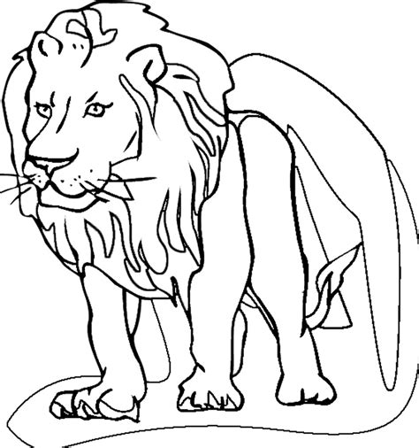 realistic lion roaring coloring pages coloring pages