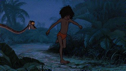 kaa mowgli gif kaa mowgli  jungle book discover share gifs