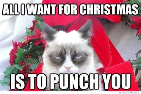 Christmas Grumpy Cat Memes Funny Merry Christmas Memes Grumpy Cat