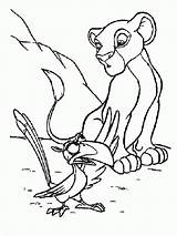 Lion King Zazu Simba Coloring Talking Pages Disney Coloringhome sketch template