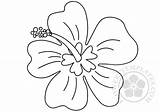 Flower Gardenia Drawing Paintingvalley Coloring sketch template
