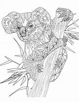 Kleurplaat Koala Kleurplaten Schattige Mandalas Volwassenen Panda Malvorlagen Omnilabo Moeilijk Possum Printen Tiere Pixel Wildlife Quilling Bezoeken Instant Erwachsene Downloaden sketch template