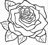 Coloring Rose Flower Pages Wecoloringpage sketch template