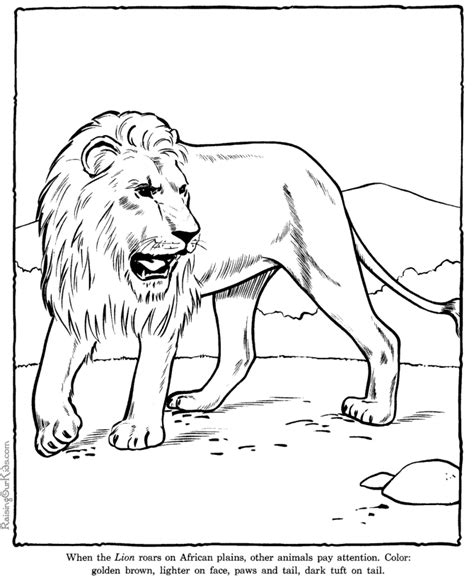 coloring pages lions coloring home