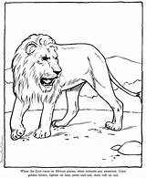 Coloring Pages Lion Zoo Animals Animal Sheet Printable Color Print Printing Help sketch template