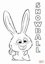 Coloring Snowball Mascotas Secreta Dibujos Haiwan Halaman Rahsia Gidget Supercoloring sketch template