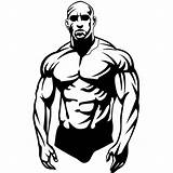 Clip Bodybuilder Body Vector Man Muscle Builder Buff Drawing Clipart Guy Cliparts Female Men Male Getdrawings Use Bodybuilding Vectorportal Library sketch template