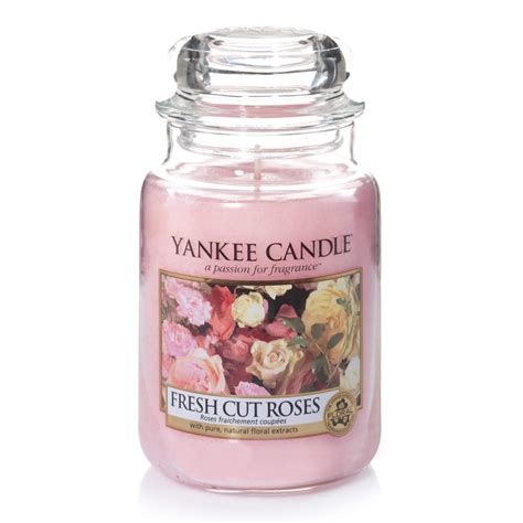yankee candle large jar scented candle fresh cut roses    hours burn time amazoncouk