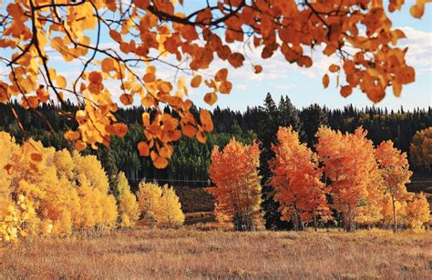 leaf peeping tips plan  avoid illegal parking  dont