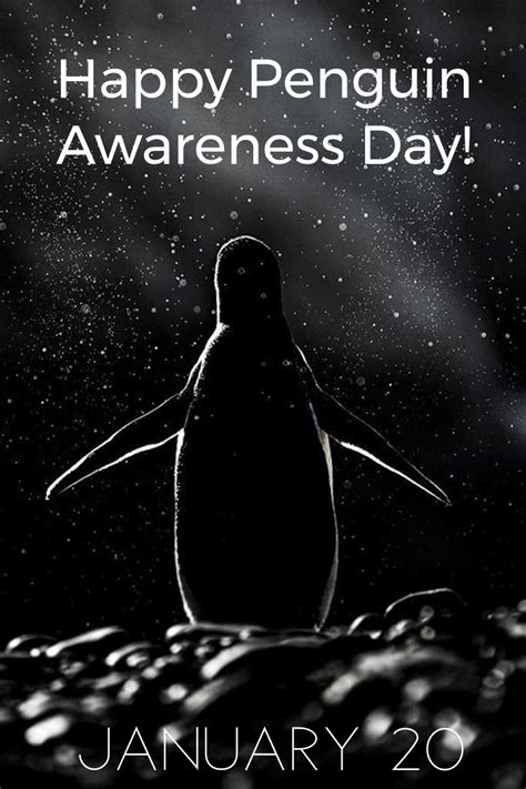happy penguin awareness day penguin awareness day penguin day