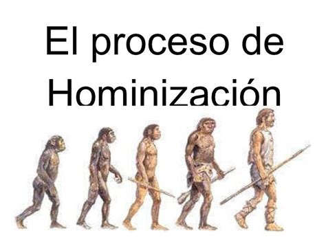 Tema 1 Actividad 4 El Proceso De Hominización – 和人