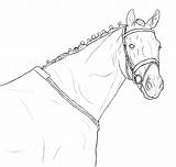 Horse Head Coloring Pages Drawings Horses Drawing Line Outline Pencil Deviantart Western Choose Board sketch template
