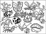 Coloring Pages Insects Insect Color Colouring Various Cartoon Adults Butterflies Printable Bug Kids Justcolor Diverses Drawn sketch template