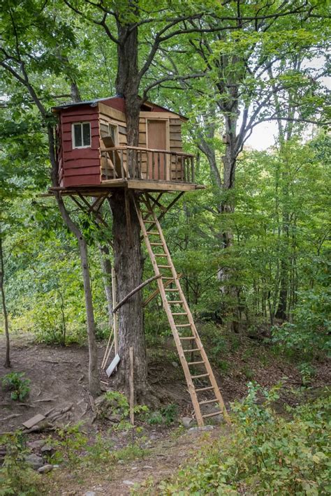 awesome kids tree houses kids activities blog