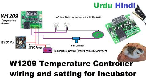 temperature controller wiring  setting  ac dc incubator urduhindi youtube