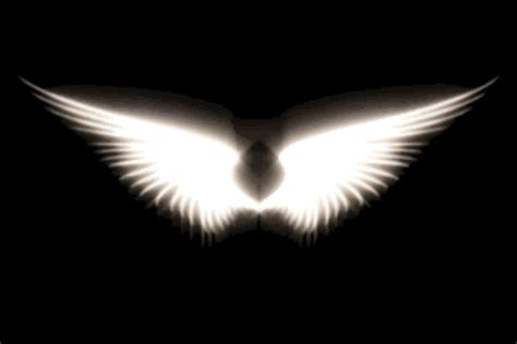 free download angels images angel wing wallpaper photos 35012928