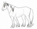 Horse Shire Coloring Pages Clydesdale Drawing Horses Reference Line Visit Getdrawings Getcolorings Color sketch template
