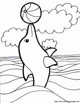 Delphin Agile Sehr Delfin Ausmalbild Genügt Benutzen Webbrowser sketch template