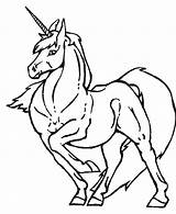 Unicorns Pages Fantasy Coloring sketch template