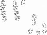 Chain Outline Clipart Clker Clip Webstockreview Vector Large sketch template