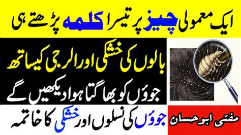 wazifa  head lice likhon ka khatma sar ki kharish ka ilaj skin allergy treatment youtube